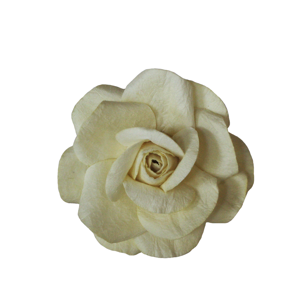 Thumbnail: Realistic Rose - Plain Colours