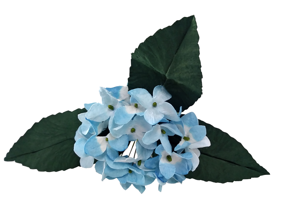 Thumbnail: Hydrangeas