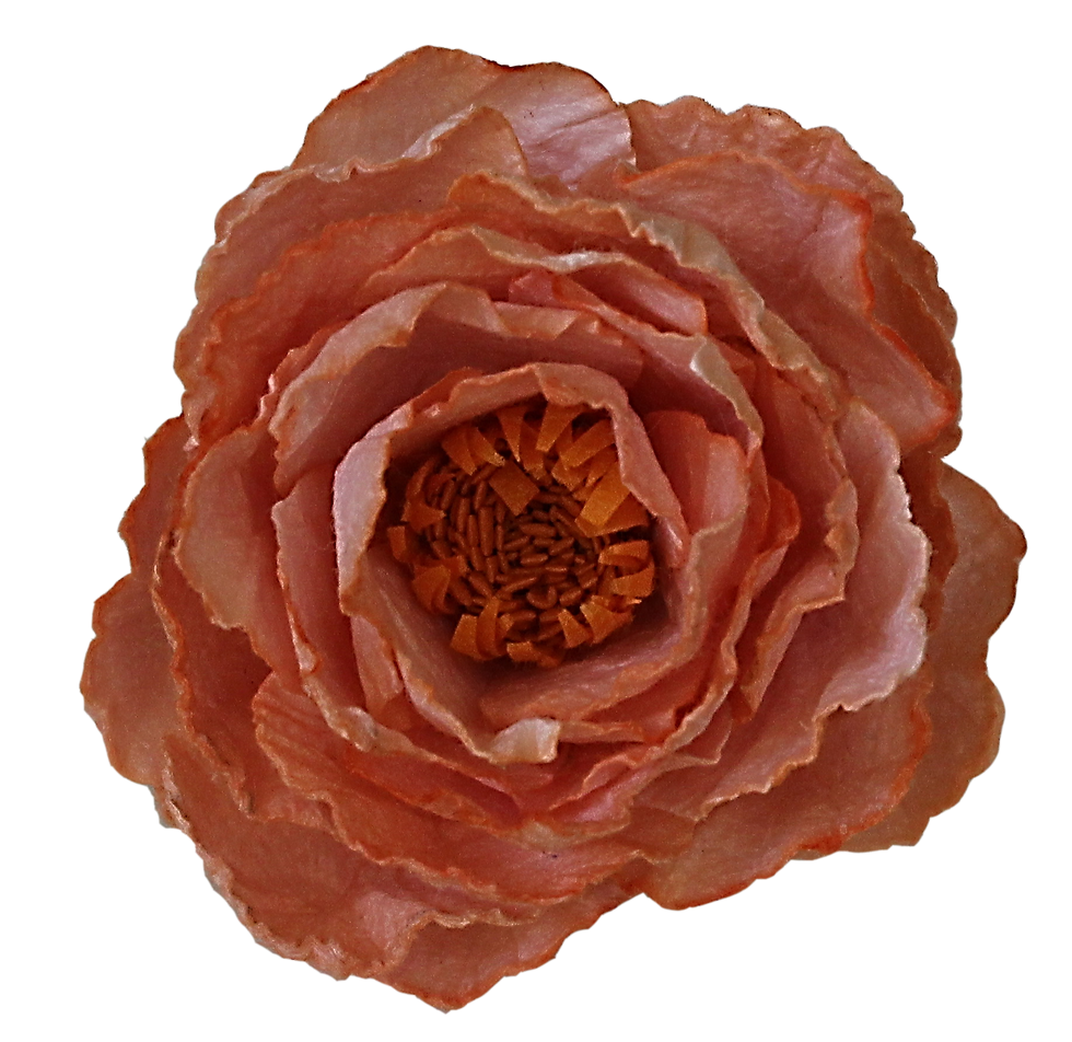 Thumbnail: Perfect Peonies