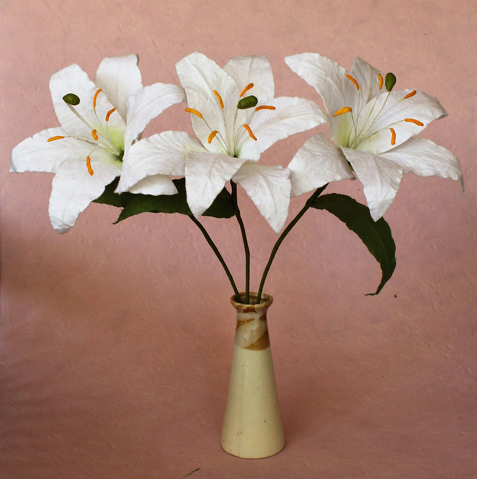 Thumbnail: Lovely Lily