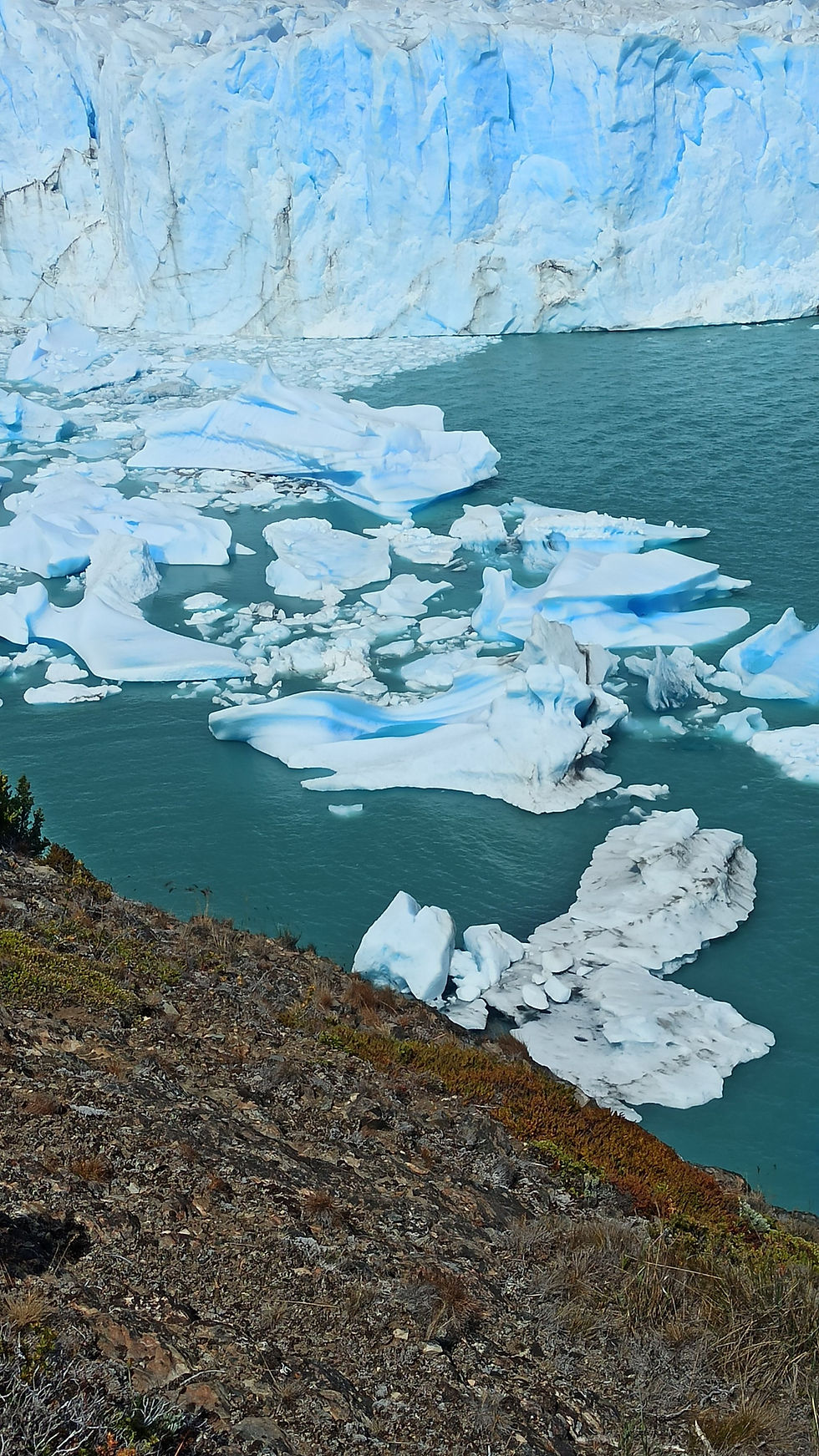 - Glacier Perito Moreno -  