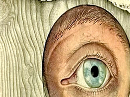 Dust jacket colours: Seeing 'is' believing