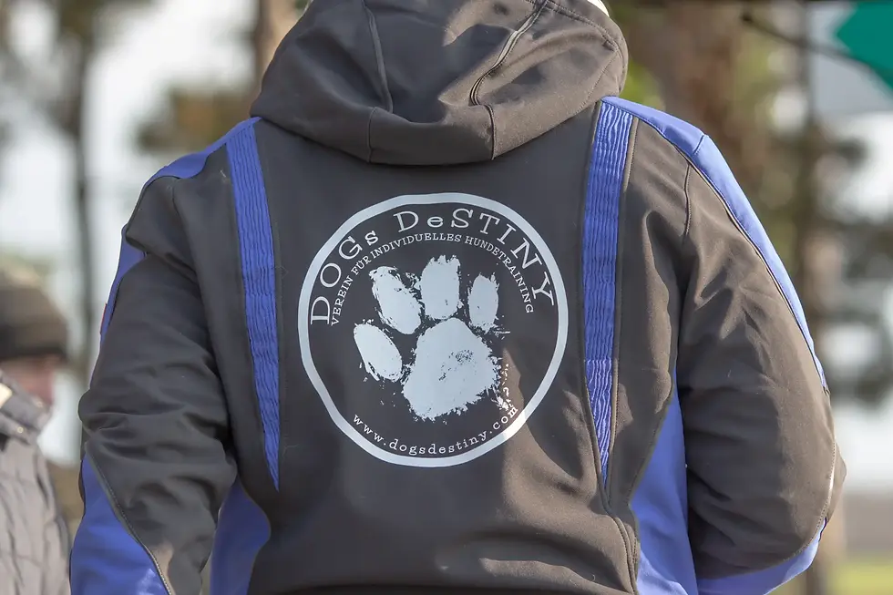 DOGs DeSTINY IMG_9895.webp