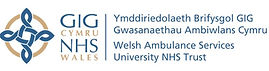 WAST Logo.jpg
