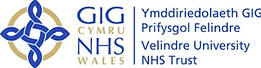 Velindre NHS Trust Logo.jpg