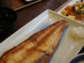 Andon Ryokan Journal を公式Instagramにて更新しています!!