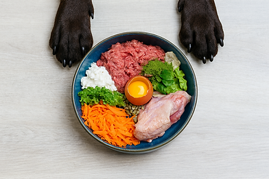 ChatGPT Image 12. Okt. 2025, 16_59_00.png