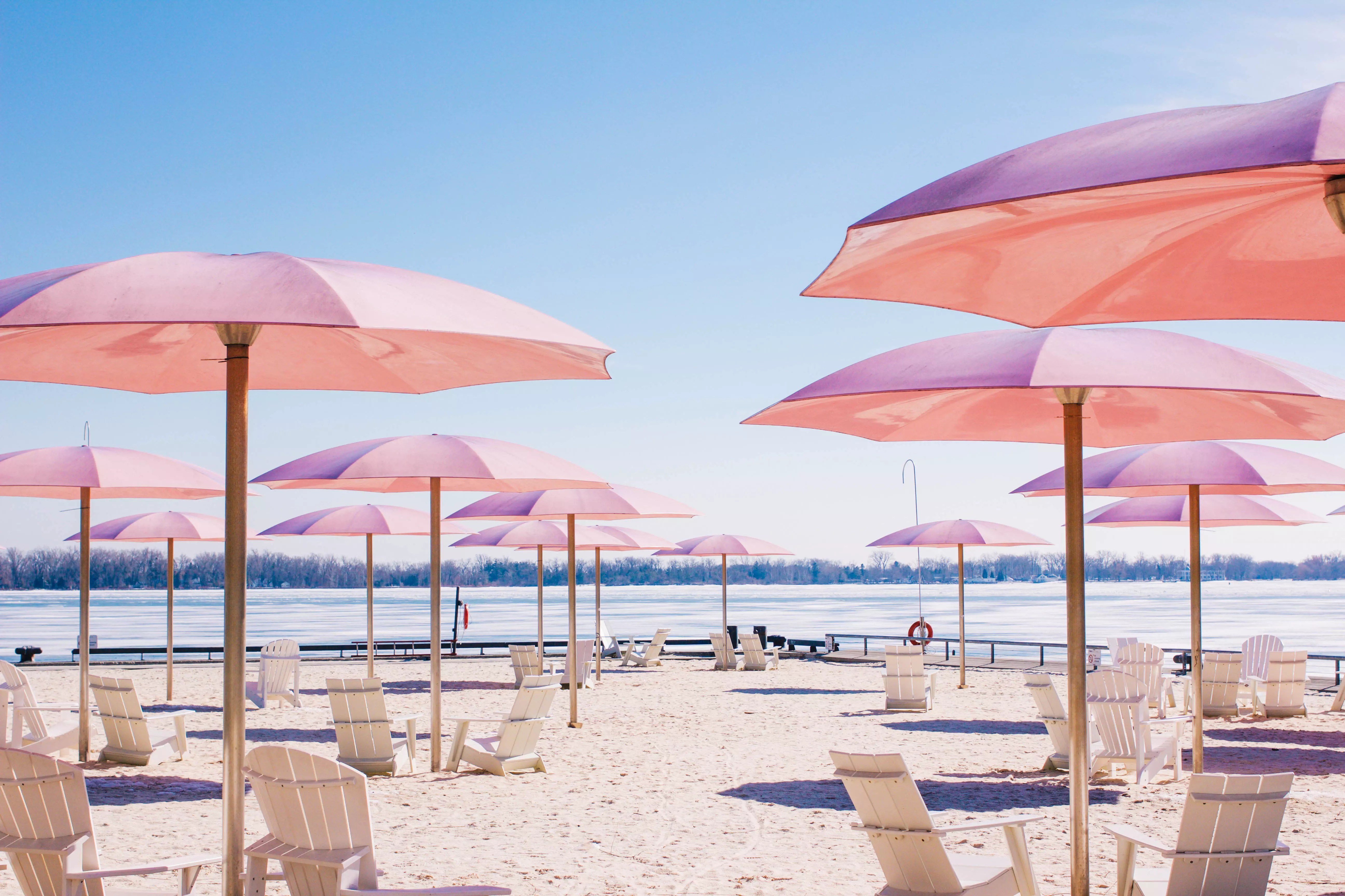 shutterstock-385529515.webp
