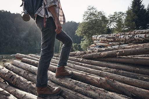 Forest Lumber Explorer