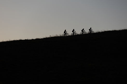 GRADE SUNSET FLOWER SHOOT-218.jpg