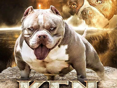 Ken
