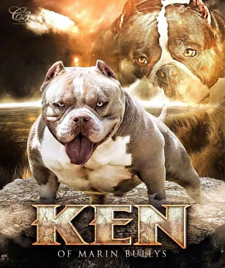 ken