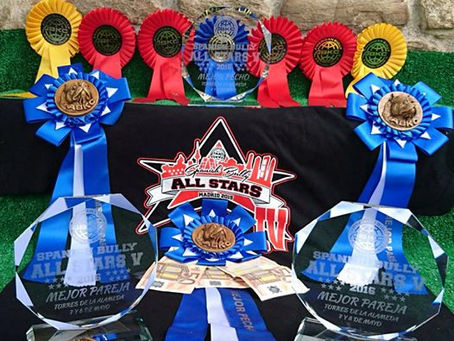 SPANISH BULLY ALL STAR V & FUN SHOW