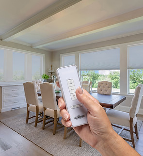 Cellular Shade - Remote.jpg