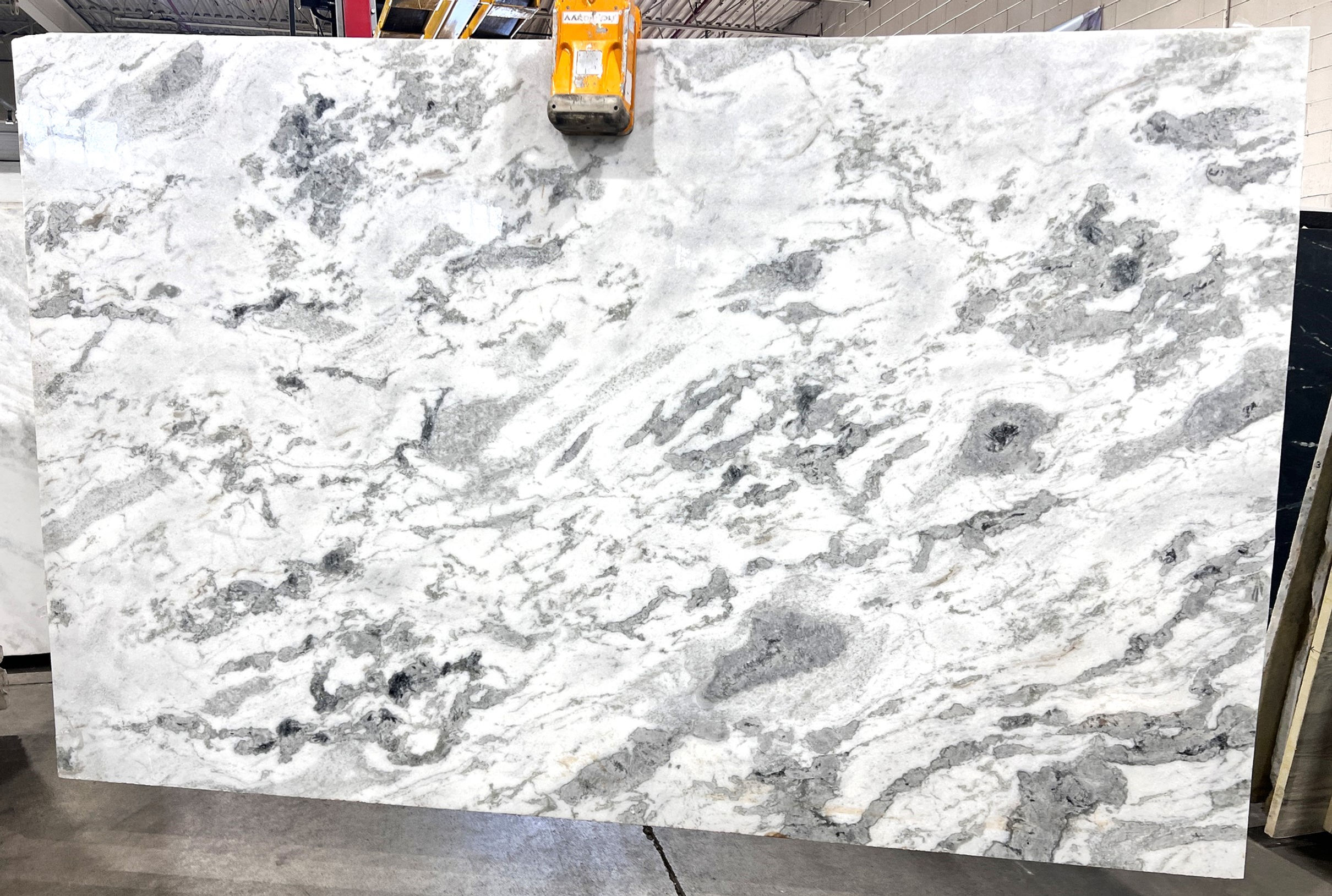 Lucent White Extra #1003