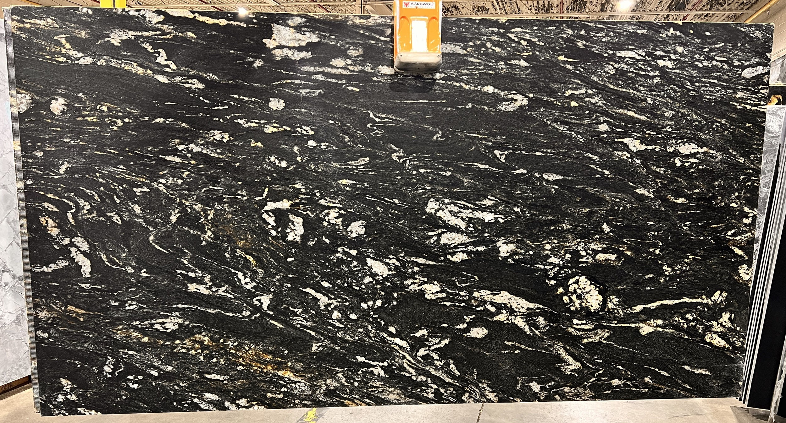 Titanium Leather #09