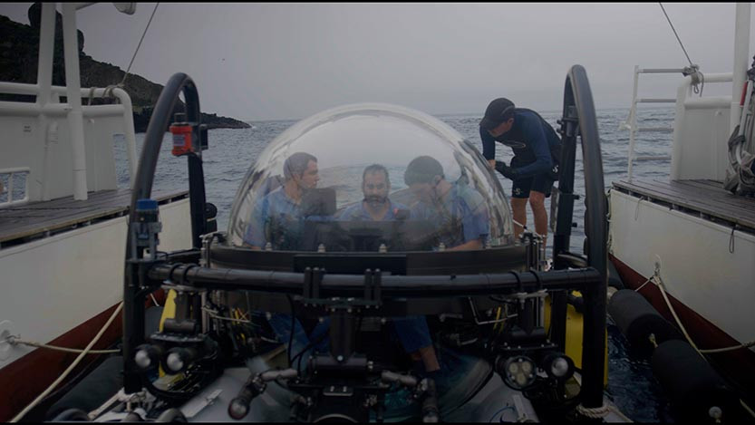 costa_rica_submarine.still024 (1).jpg