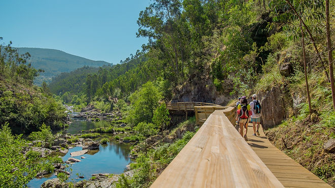 Passadiços do Paiva.jpg