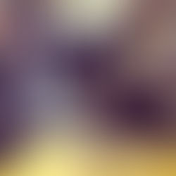 The CrossFit Advantage: Sculpting Long-Term Health Through Weightlifting and Workouts