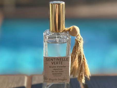 💧 Brume Sentinelle VerteLa fraîcheur des plantes, l’efficacité des huiles essentielles 🌿