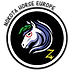 Nokota Horse Europe