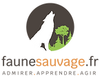 faunesauvage