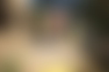 A Diary of #onevoiceforcraft — Chapter 1: INDIA