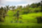 LO MÁS DESTACADO DE BALI - 5 D / 4 N