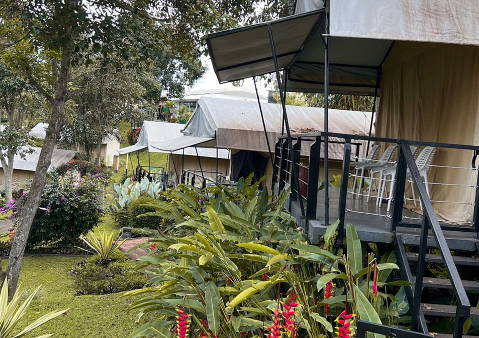 Raised canvas tents with outdoor steps and garden planting at Trizara.