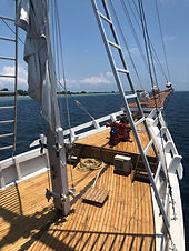 IMG_8359.JPG