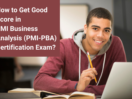 Study Guide for Business Analysis PMI-PBA Certification