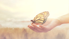 Growing Your Own Placebos