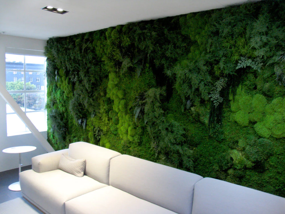 Natura-moss-wall_1000x.webp