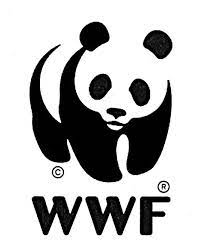 WWF — LinkedIn Experts client