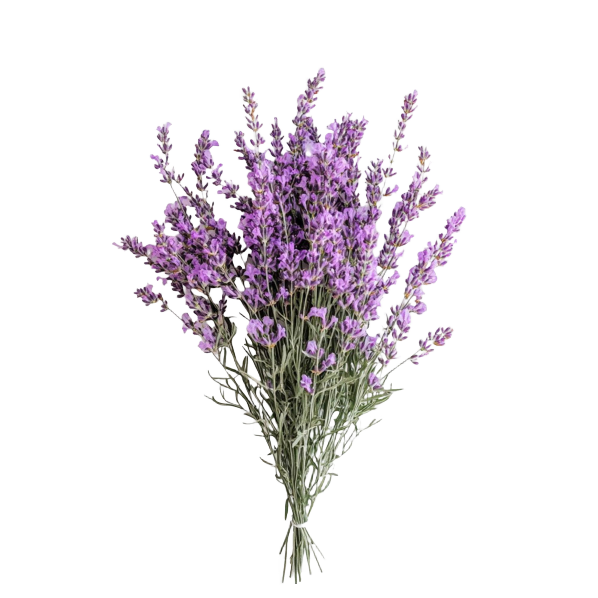 Lavendelstrauß: Duftende lila Blüten