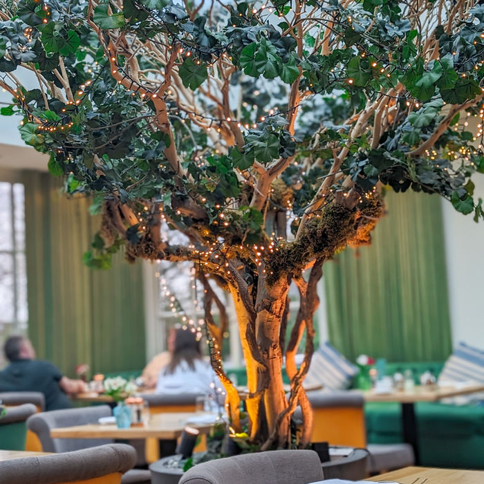 Ein Baum in einem Restaurant, Tische und Stühle, grüner Hintergrund.