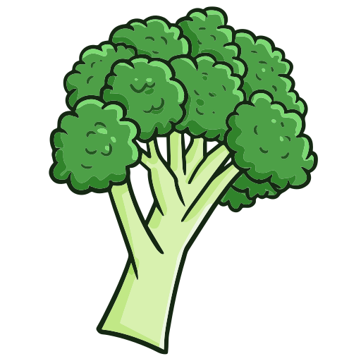 Fresh broccoli florets, healthy green vegetable