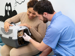 So bereiten Sie Ihr Tier auf den Tierarztbesuch vor