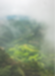 image 12.png