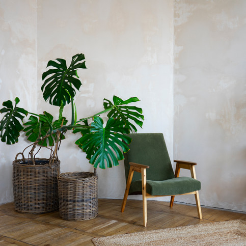 Green armchair, Monstera plant, wooden shelves, and round mirror in stylish interior