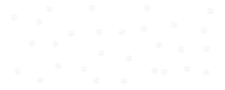 paw Background.png