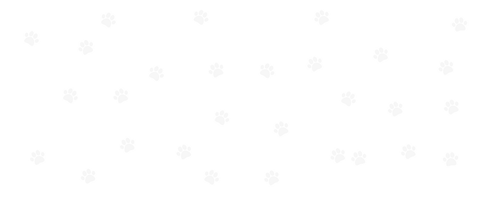 paw Background.png