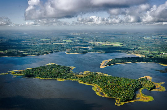 Pristine forest land of Latvia