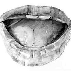 Drawing of a mouth