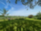 View from the studio
