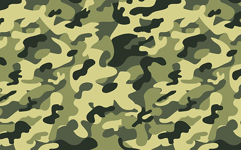 SQ2PN6.jpg