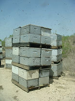 image7.jpeg