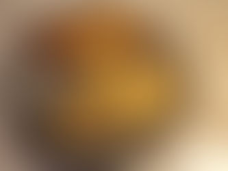 Pan fried versus air fried crispy chicken