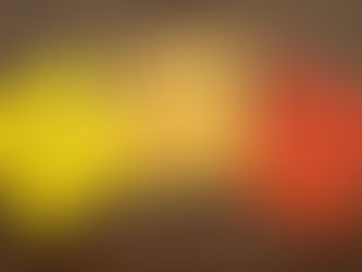 Thanksgiving Gratitude