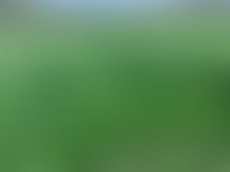 Peak spring, lost opportunity.